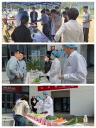 核心将持续加强食